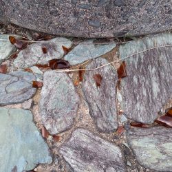 アマテラス 釣果