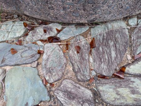 アマテラス 釣果