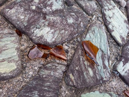 アマテラス 釣果