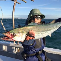 ランスルー 釣果