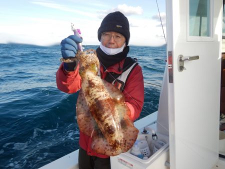 きずなまりん 釣果