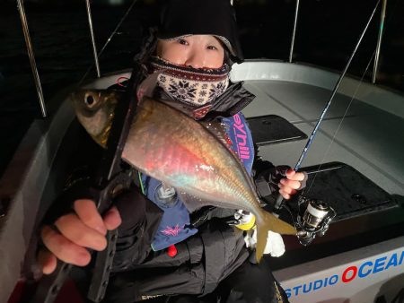 Chase（チェイス） 釣果