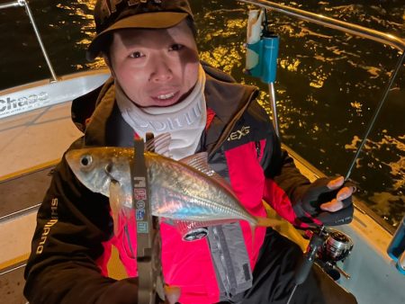 Chase（チェイス） 釣果