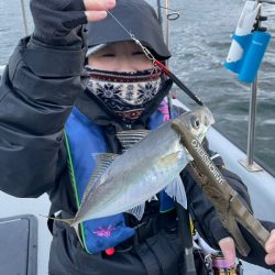 Chase（チェイス） 釣果