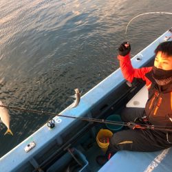 ヤザワ渡船 釣果