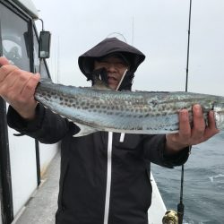 ランスルー 釣果