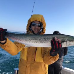 ランスルー 釣果