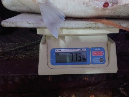 ARCADIAⅡ (アルカディアⅡ) 釣果