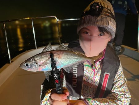 Chase（チェイス） 釣果