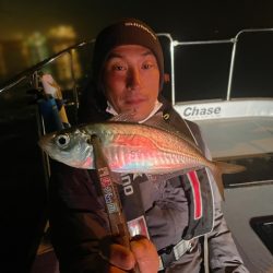 Chase(チェイス) 釣果