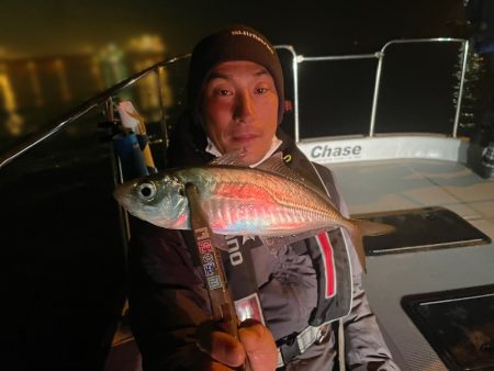 Chase(チェイス) 釣果