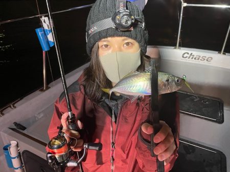 Chase(チェイス) 釣果