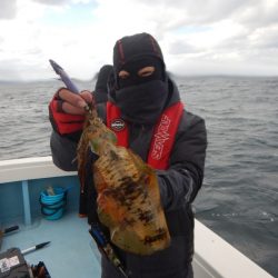 きずなまりん 釣果