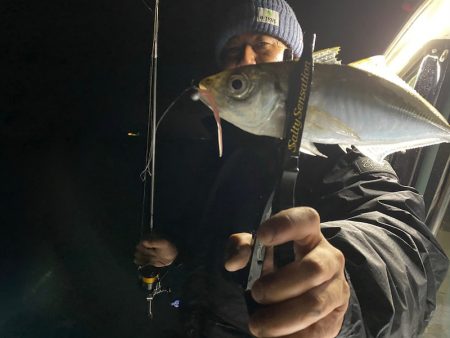 Monster Rush! 釣果