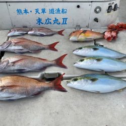 末広丸(熊本) 釣果