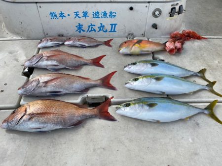 末広丸(熊本) 釣果