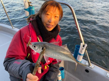 Chase（チェイス） 釣果