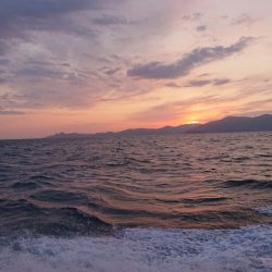 ARCADIAⅡ （アルカディアⅡ） 釣果