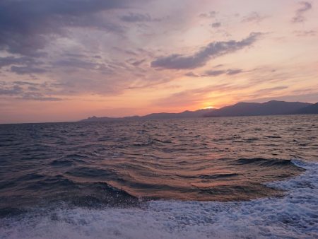 ARCADIAⅡ （アルカディアⅡ） 釣果