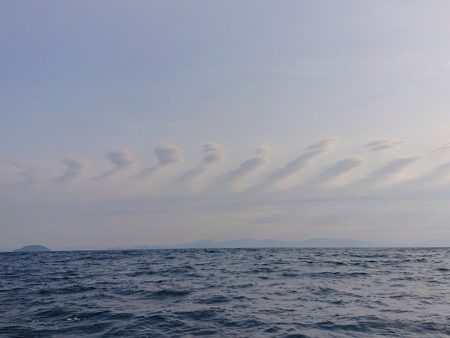 ARCADIAⅡ （アルカディアⅡ） 釣果