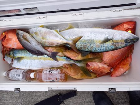 第二龍勢丸 釣果