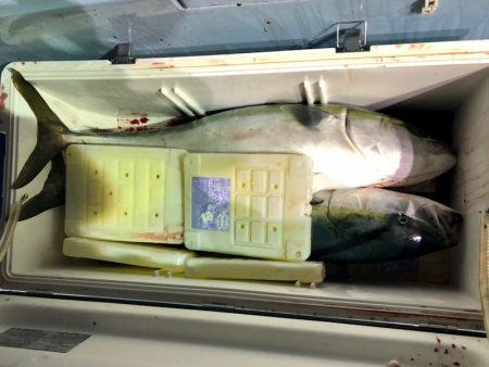 第二八坂丸 釣果