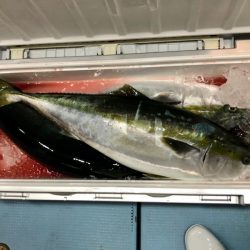 第二八坂丸 釣果