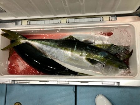 第二八坂丸 釣果