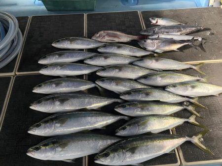 Monster Rush! 釣果