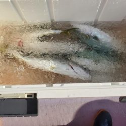 海龍丸(石川) 釣果