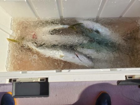 海龍丸(石川) 釣果