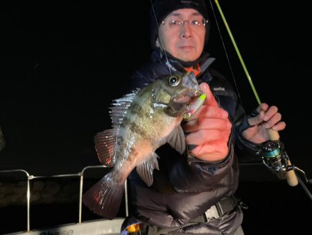 Chase(チェイス) 釣果