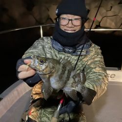 Chase(チェイス) 釣果