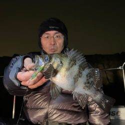 Chase(チェイス) 釣果