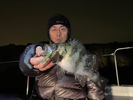 Chase(チェイス) 釣果