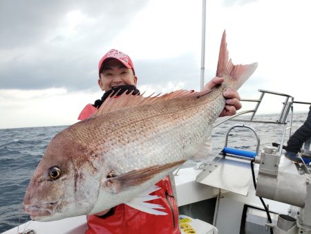 シーライオン 釣果