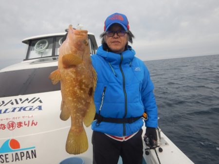 きずなまりん 釣果