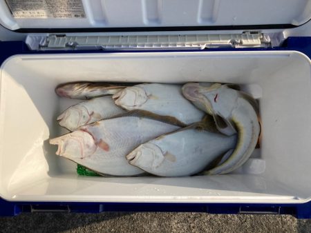 遊漁船高橋 釣果