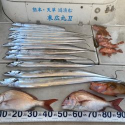 末広丸(熊本) 釣果