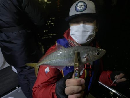 Chase(チェイス) 釣果