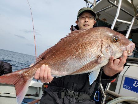 シーライオン 釣果