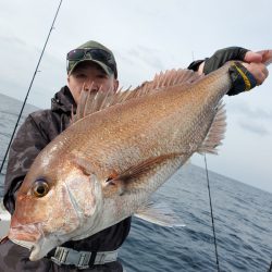 シーライオン 釣果