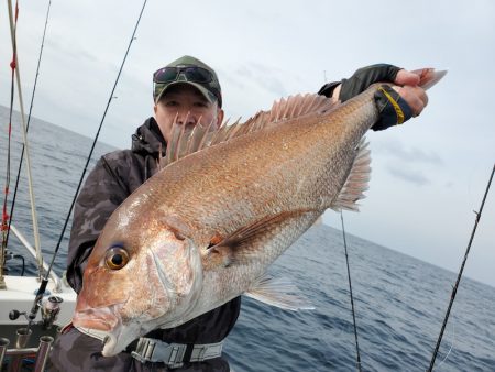 シーライオン 釣果