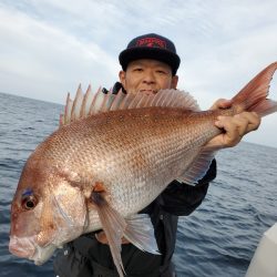 シーライオン 釣果