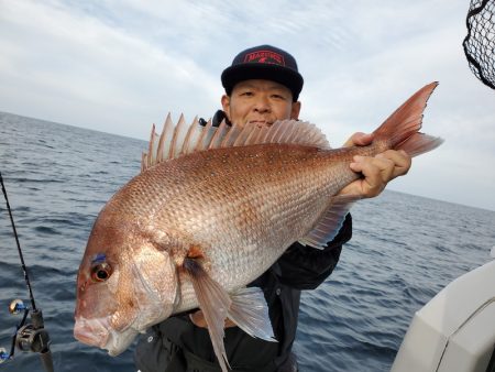 シーライオン 釣果