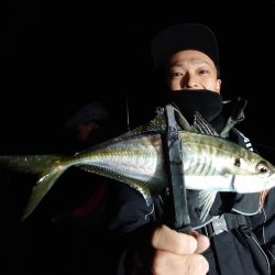 シースナイパー海龍 釣果
