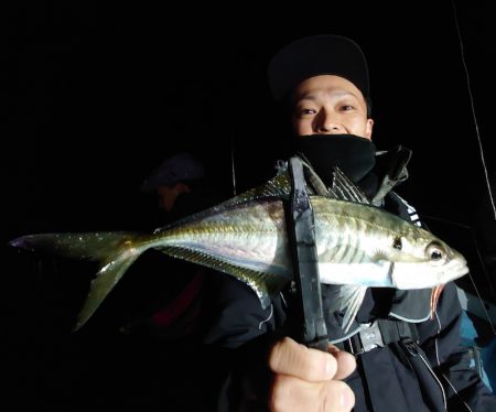 シースナイパー海龍 釣果