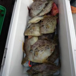 ブルースフィッシングサービス 釣果