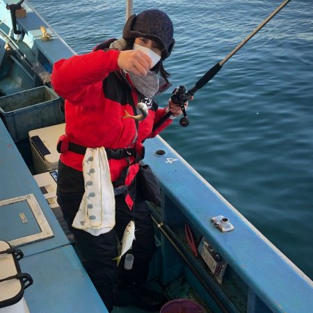 ヤザワ渡船 釣果