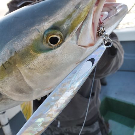 サンマリン 釣果